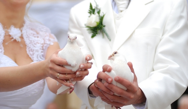 Идеальная свадьба: 50 оттенков белого