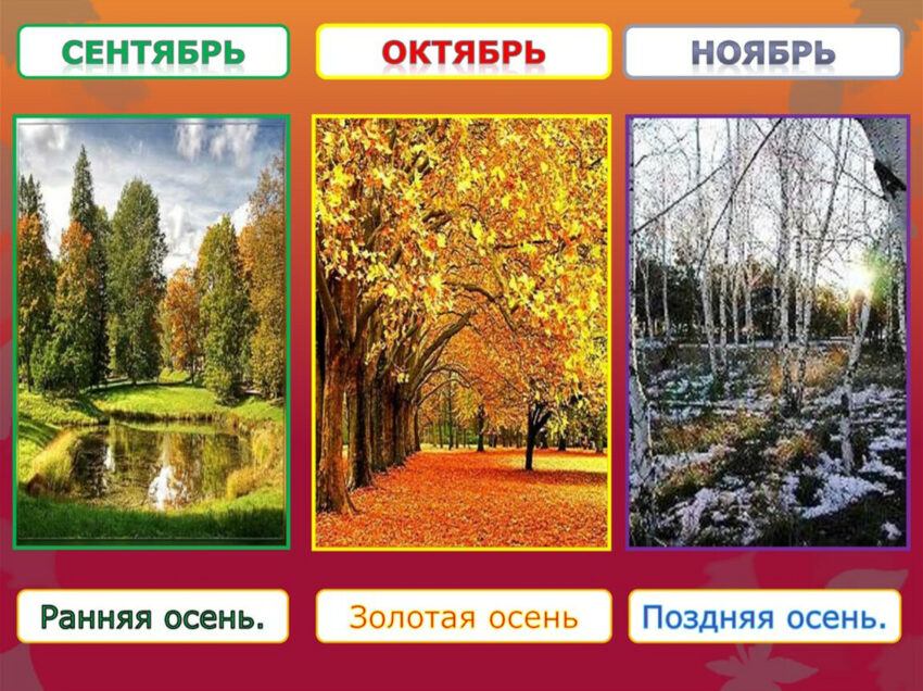 Как выбрать идеальную дату для осенней свадьбы